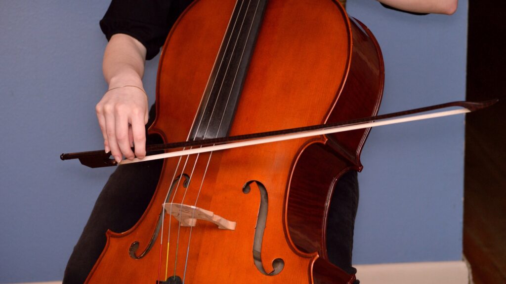 Upright Bass Lessons in Pearland Texas
